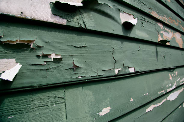Best Dumpster Rental Services  in Riverside, MO