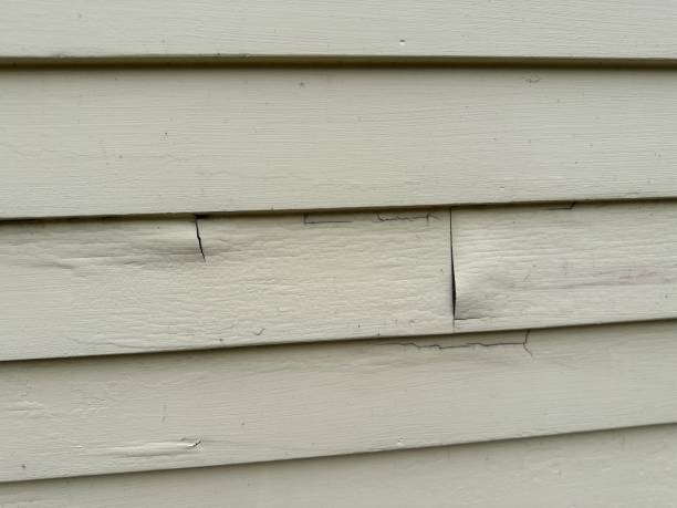 Best Property Management Cleanouts  in Riverside, MO